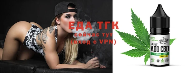 индика Абаза