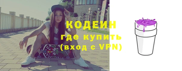 индика Абаза