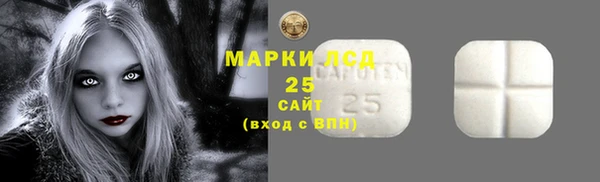 индика Абаза