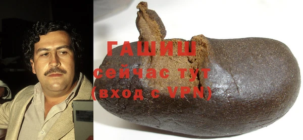 индика Абаза