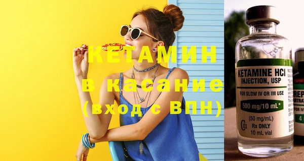 индика Абаза